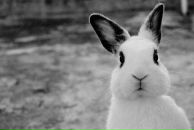 Фотография Рихтера Андрея