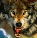 Андрій Мартиник фотография #1