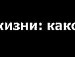 Міша Малько фотография #39 (источник - https://vk.com/id70137137)