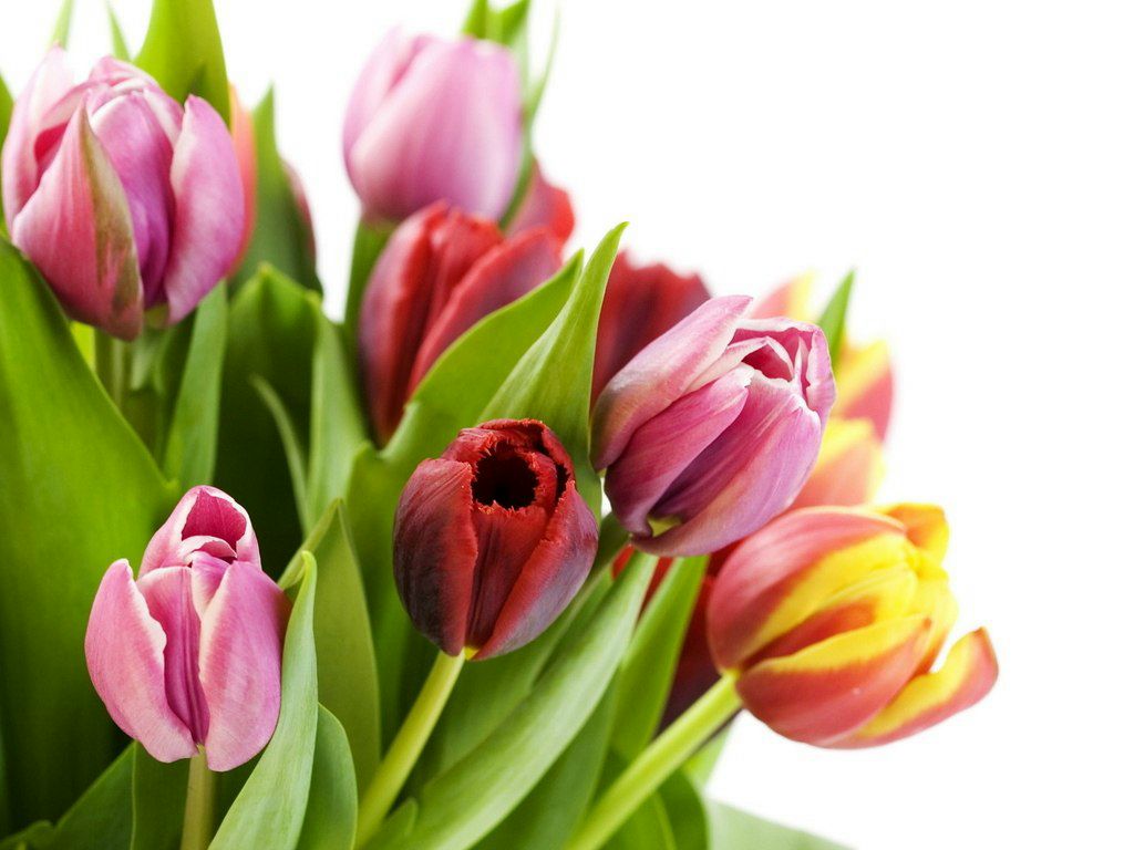 Иван Шуст фотография #30