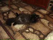 Дюрі Масяк фотография #18 (источник - https://vk.com/id19779231)