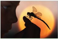 Фотография Тимофеевой Эльмиры