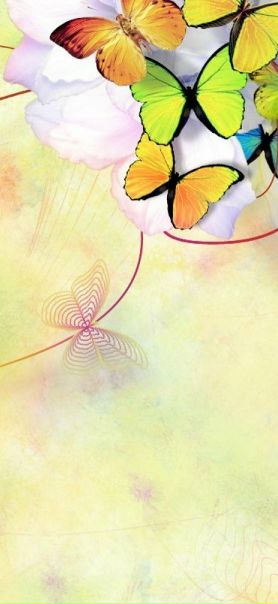 Strawberry Snail фото №7