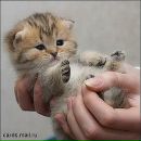 Оля Ліщук фотография #37 (источник - https://vk.com/id157258051)