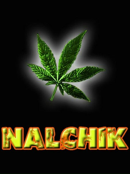 Cool Cool.@ фото №2