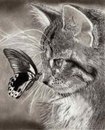 Діана Береза фотография #12 (источник - https://vk.com/id162546834)