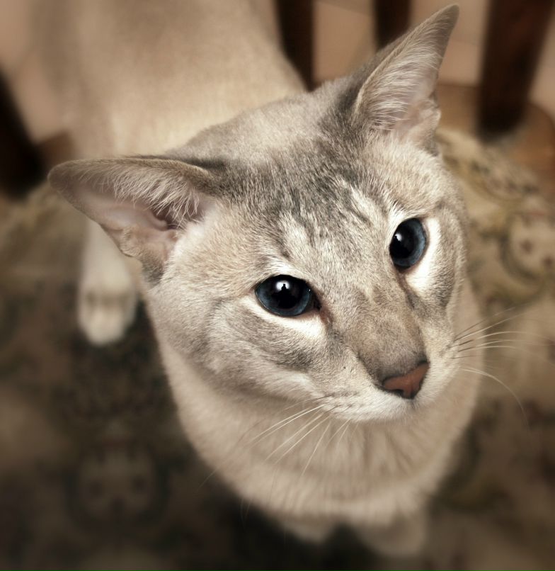 Дмитрий Судаков фотография #19