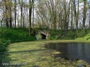 Альонка Іванюк фотография #25 (источник - https://vk.com/id66031893)