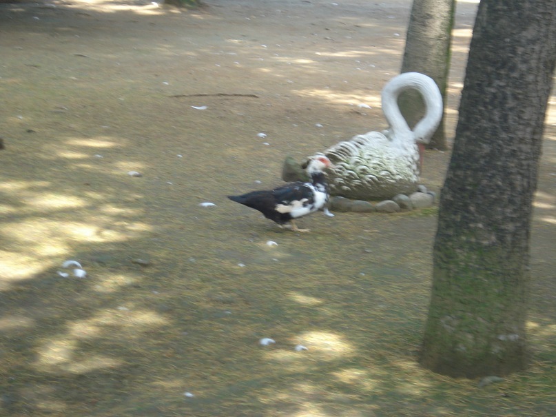 Дмитрий Егерев фотография #19