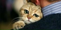 Александр Перепелицын фотография #18 (источник - https://vk.com/id7036993)