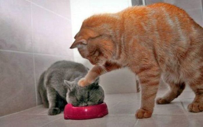 Костя Гладков фотография #48