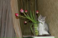 Фотография Ермолиной Ольги