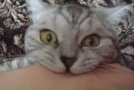 Фотография Стеблянко Александры