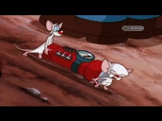 Пинки, Элмайра и Брейн (5 сезон 19 Серия)