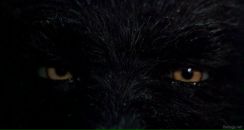 Ігор Адам'юк фотография #33 (источник - https://vk.com/id67460393)