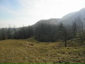 Сергій Штець фотография #50 (источник - https://vk.com/id122446123)