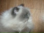 Фотография Рекуновой Натальи