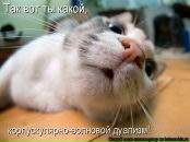 Фотография Бегунова Алексея