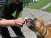 Джек Ценкін фотография #10 (источник - https://vk.com/id100363511)