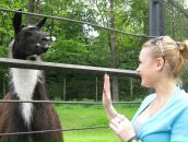 Діана Проневич фотография #8 (источник - https://vk.com/id24075821)