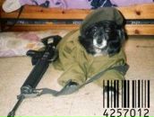 Фотография Соколова Дмитрия