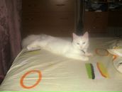 Фотография Пантелеевой Веры