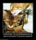 Фотография Мартыновой Светланы