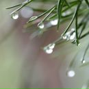 Фотография Перфиловой Елены