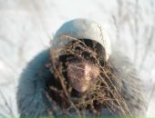 Фотография Барей Анастасии