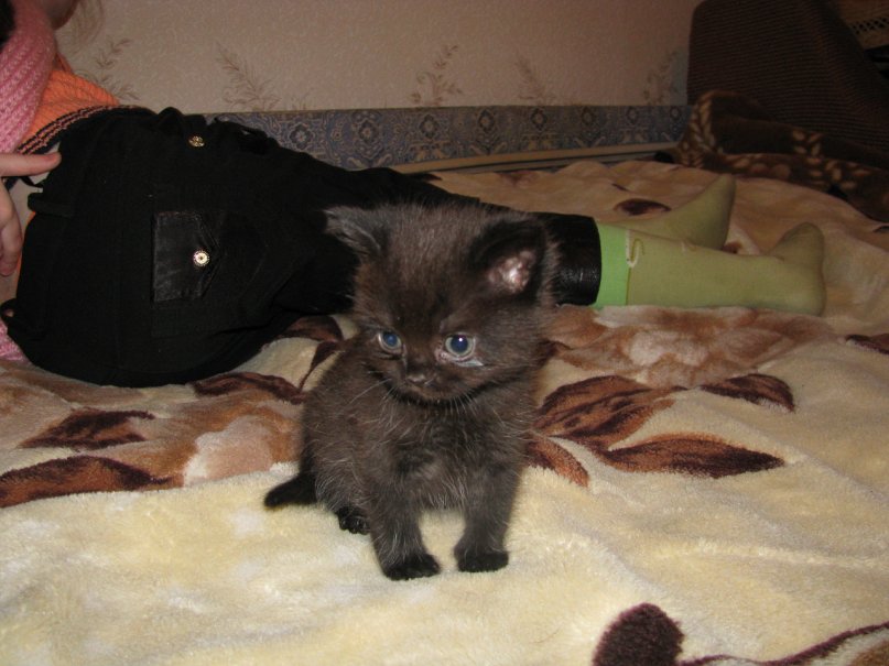 Денис Ларин фотография #26