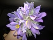 Фотография Гинзбург Марины