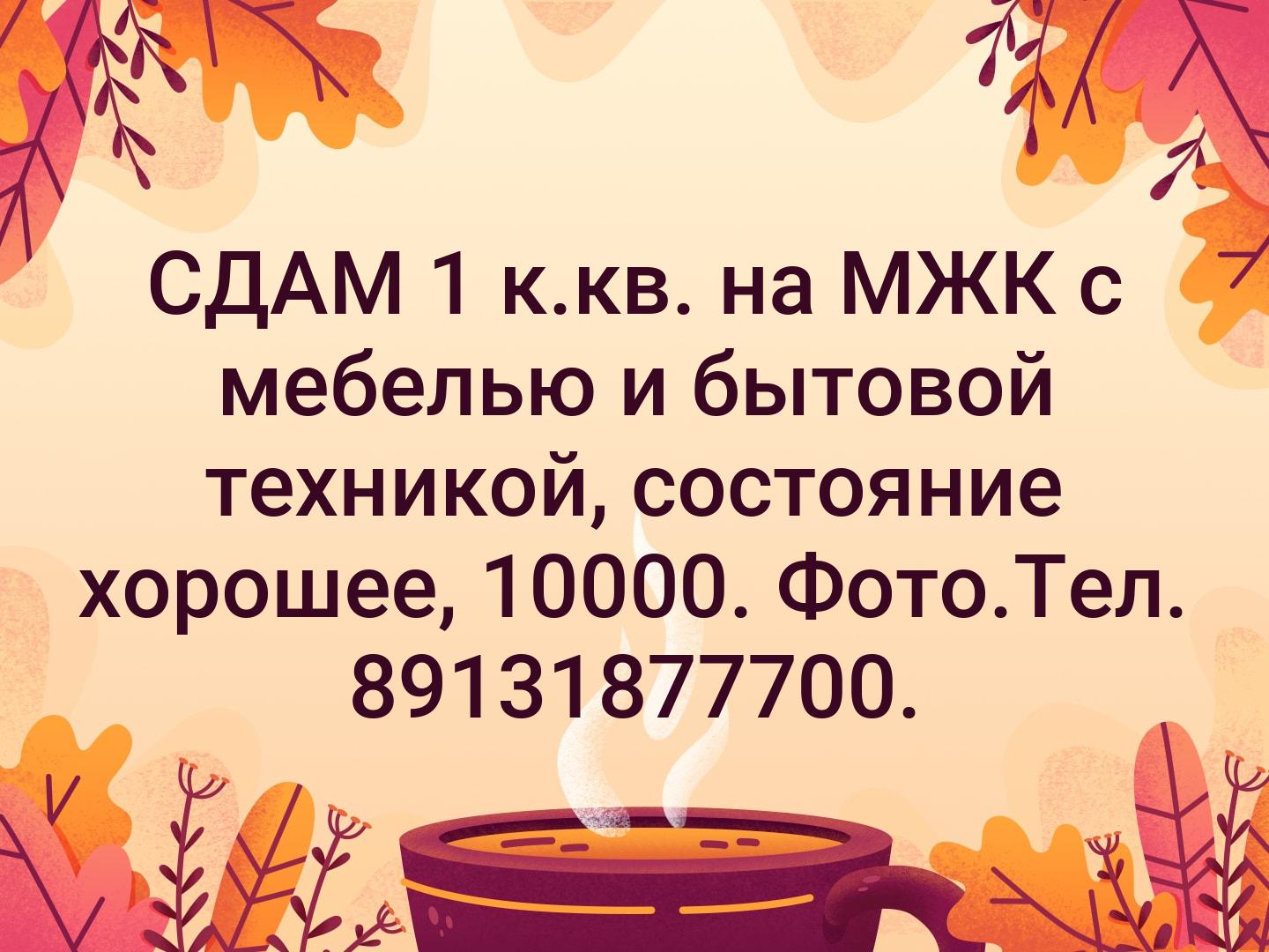 СДАМ  1 к.кв. на МЖК с мебелью и бытовой техникой, состояние хорошее, 10000. Фото.Тел. 89131877700.