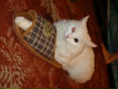 Фотография Калининой Наташи