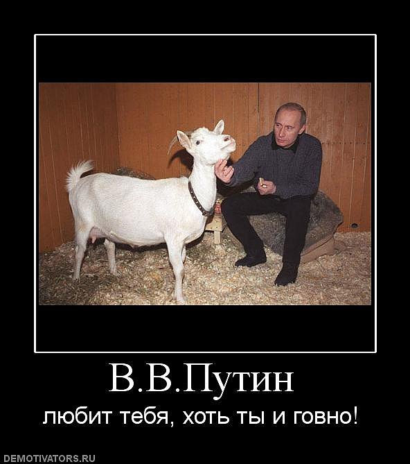 Иван Пташник фотография #42