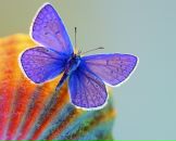 Фотография Климовой Елены