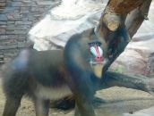 Ваня Осипов фотография #22 (источник - https://vk.com/id53775902)