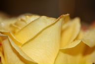 Марина Скобялко фотография #46 (источник - https://vk.com/id254502)