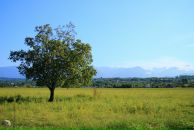 Дмитрий Серов фотография #26 (источник - https://vk.com/id41924820)