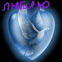 Свєтік Гончарук фотография #49 (источник - https://vk.com/id91870746)