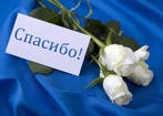 №6, Елена Белозёрова, Ростов-на-Дону, Россия №6, Елена Белозёрова, Ростов-на-Дону, Россия