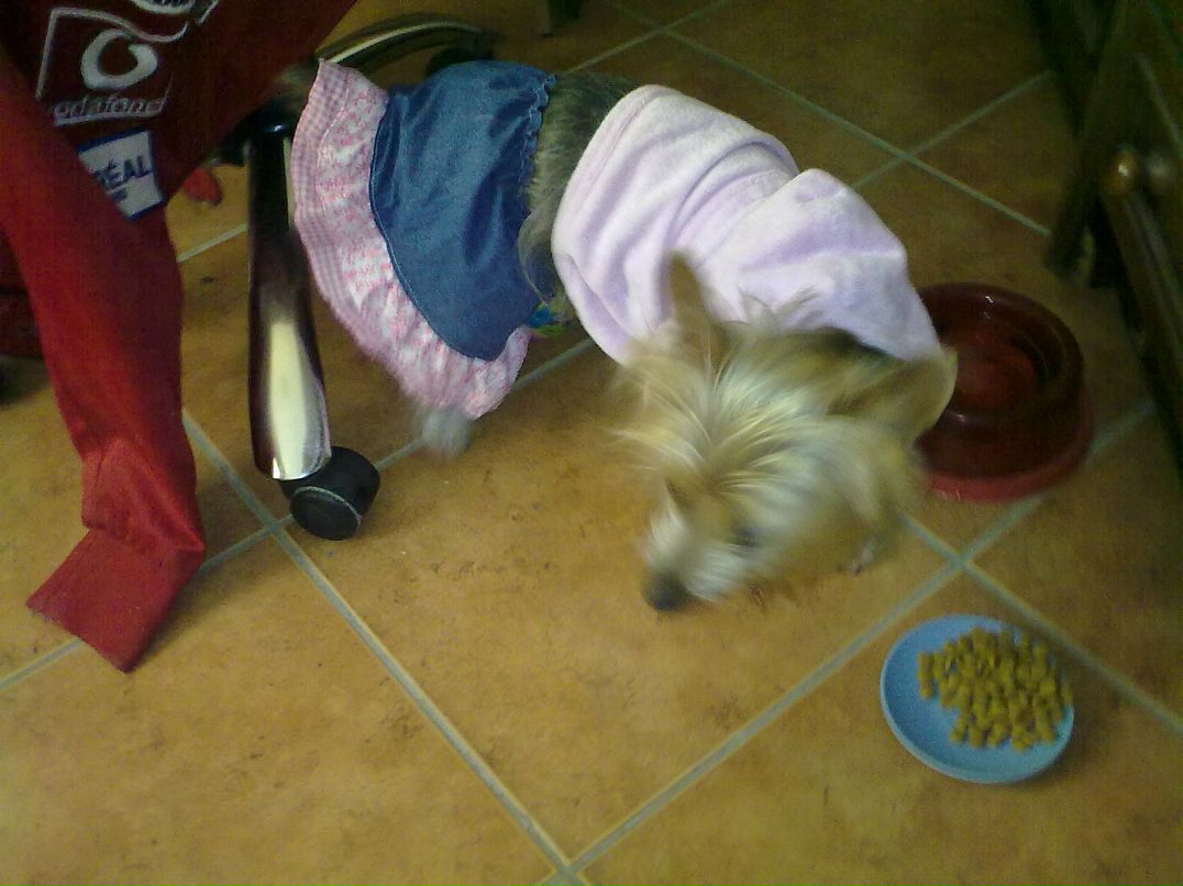 Andre Sha фотография #30