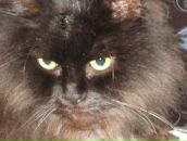 Фотография Кузьминой Екатерины