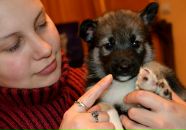 Фотография Вишняковой Ольги