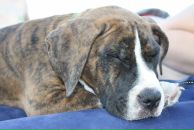 Кирилл Митяев фотография #38 (источник - https://vk.com/id6828811)