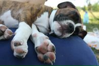 Кирилл Митяев фотография #31 (источник - https://vk.com/id6828811)