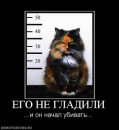 N[i]ki Baby фотография #28 (источник - https://vk.com/id66662499)