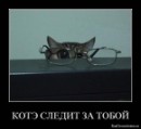 N[i]ki Baby фотография #8 (источник - https://vk.com/id66662499)