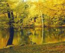 Βиктор Κрасильников фотография #1