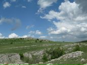 Юлія Родічева фотография #17 (источник - https://vk.com/id8162625)