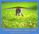 Андрюха Склярук фотография #25 (источник - https://vk.com/id11705905)